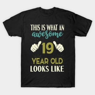 19 year old Birthday T-Shirt